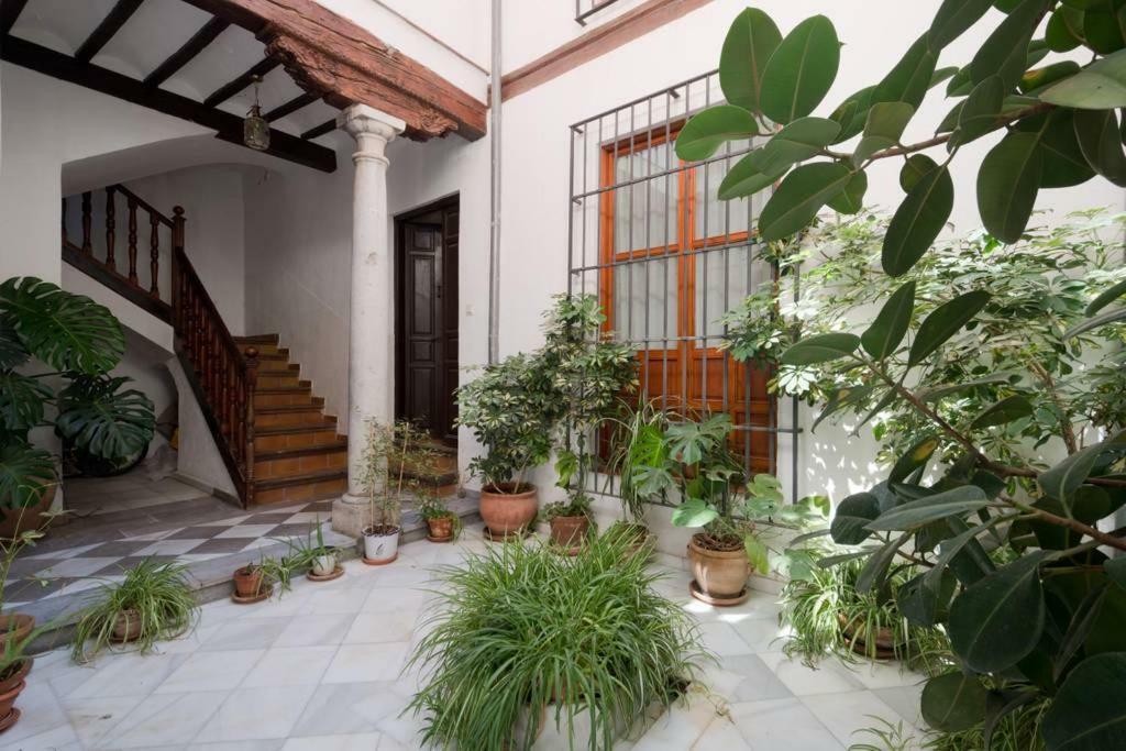 Stunning Alhambra View Balconies, In The Albayzin Appartamento Granada